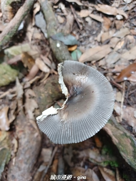 20220716_112409.jpg 20220716_112409.jpg