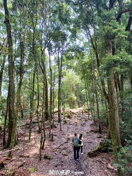 20220716_113706.jpg 20220716_113706.jpg