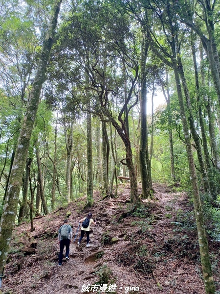 20220716_114435.jpg 20220716_114435.jpg