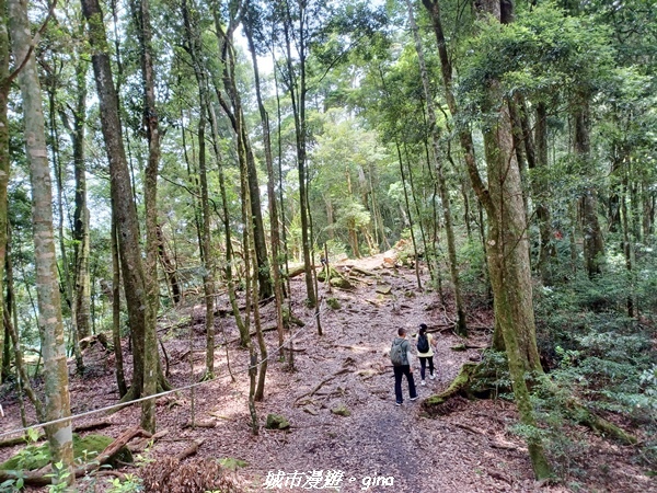 20220716_113709.jpg 20220716_113709.jpg