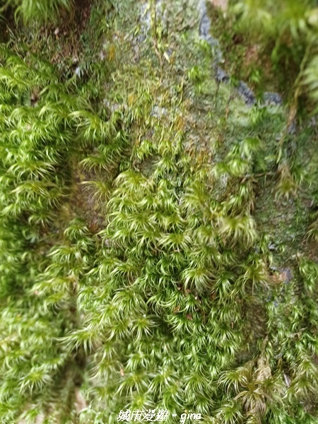 20220716_114514.jpg 20220716_114514.jpg