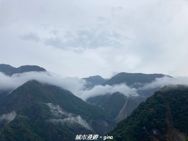 【花蓮秀林】迷霧森林。 小百岳集起來。No86小百岳卡拉寶山