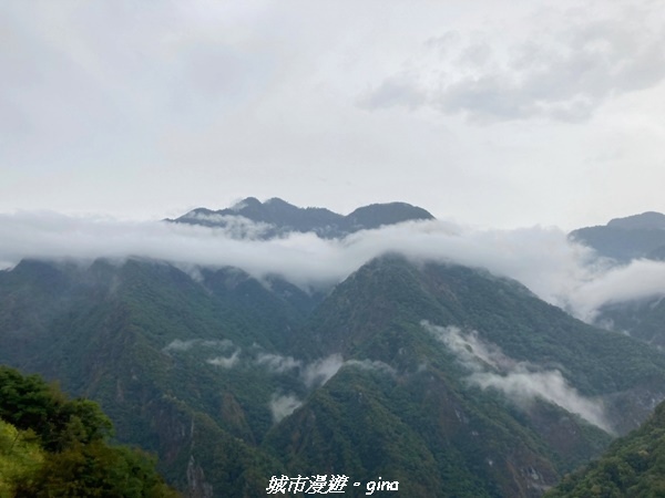 【花蓮秀林】迷霧森林。 小百岳集起來。No86小百岳卡拉寶山