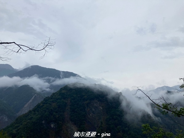 【花蓮秀林】迷霧森林。 小百岳集起來。No86小百岳卡拉寶山