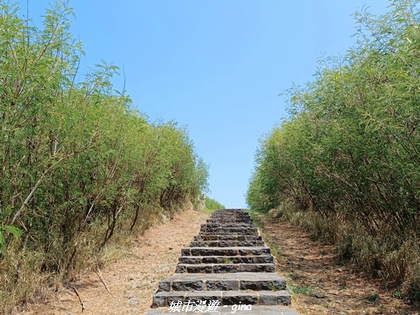 20220909_111009.jpg 20220909_111009.jpg