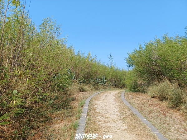 【澎湖馬公】跳島小旅行。 No100蛇頭山步道x風櫃聽濤x蒔