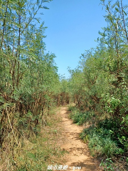 20220909_111258.jpg 20220909_111258.jpg