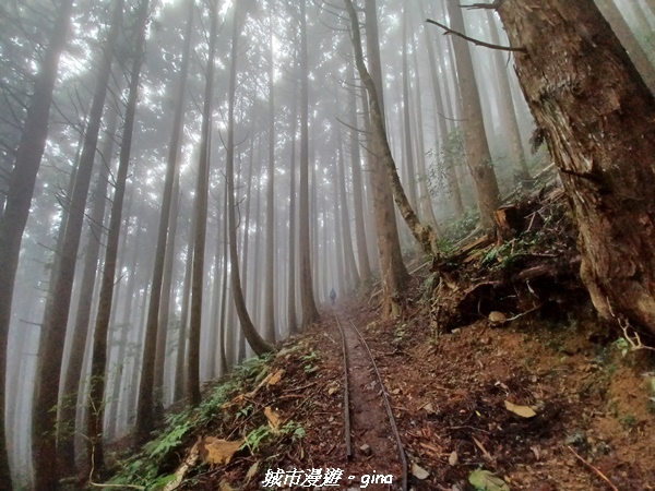 【苗栗南庄】裊裊雲霧台版富士山。 No34小百岳~加里山。 