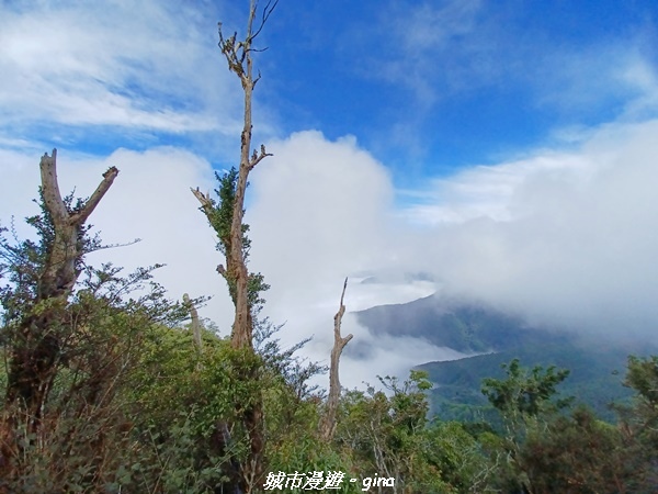 20221010_082504.jpg 20221010_082504.jpg