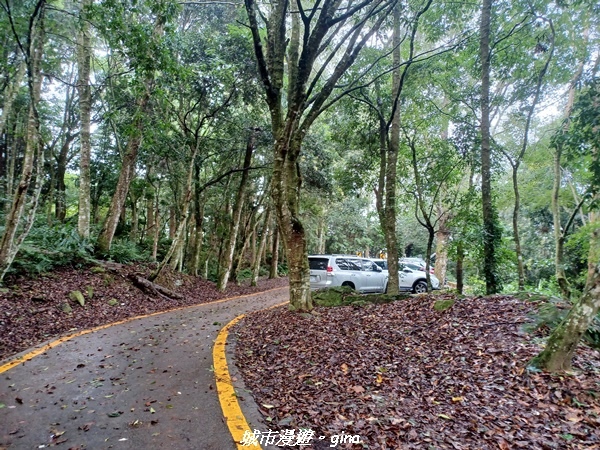 20221010_082613.jpg 20221010_082613.jpg