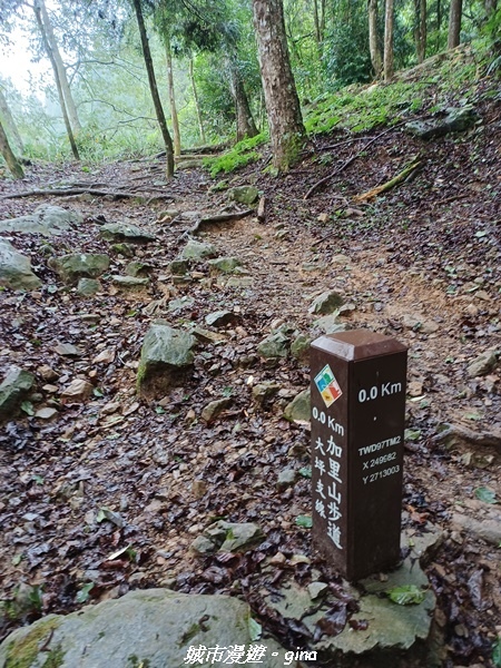 20221010_084132.jpg 20221010_084132.jpg