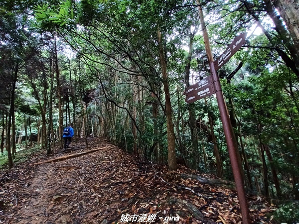 【苗栗南庄】裊裊雲霧台版富士山。 No34小百岳~加里山。 