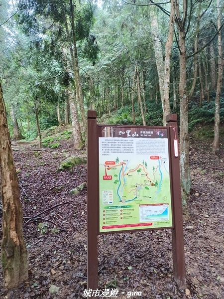 20221010_084006.jpg 20221010_084006.jpg