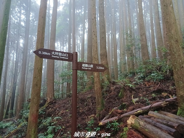 20221010_085821.jpg 20221010_085821.jpg