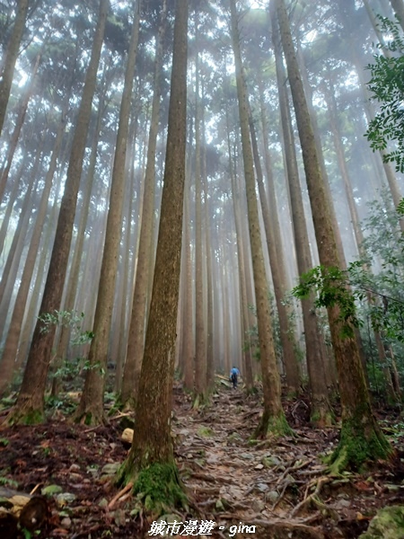 20221010_085336.jpg 20221010_085336.jpg