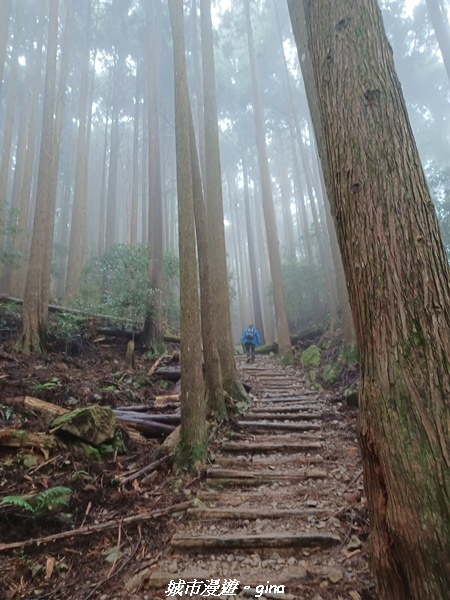 【苗栗南庄】裊裊雲霧台版富士山。 No34小百岳~加里山。 