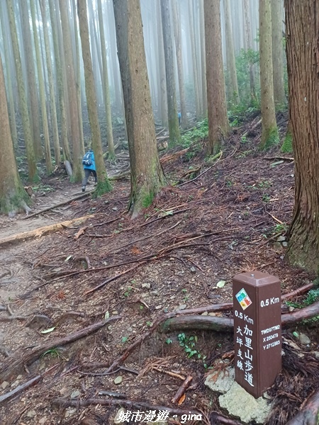 【苗栗南庄】裊裊雲霧台版富士山。 No34小百岳~加里山。 