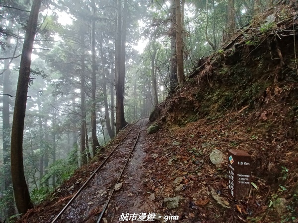 20221010_092643.jpg 20221010_092643.jpg