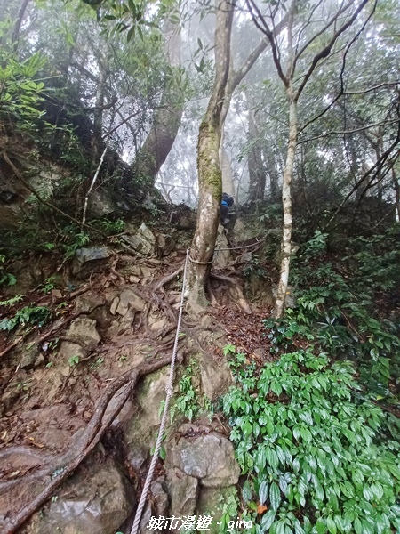 【苗栗南庄】裊裊雲霧台版富士山。 No34小百岳~加里山。 