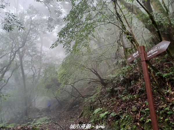 20221010_093816.jpg 20221010_093816.jpg