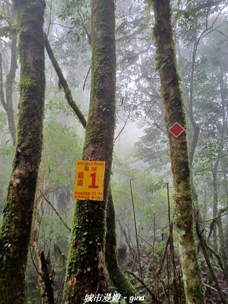 20221010_093812.jpg 20221010_093812.jpg