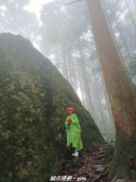 20221010_100304.jpg 20221010_100304.jpg