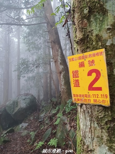 【苗栗南庄】裊裊雲霧台版富士山。 No34小百岳~加里山。 