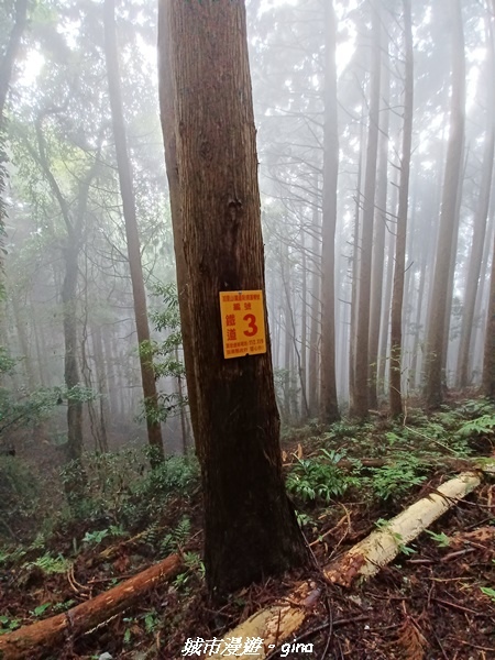 20221010_101653.jpg 20221010_101653.jpg