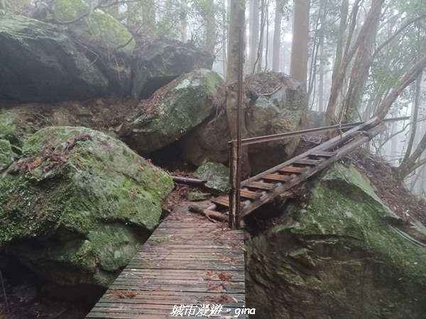 【苗栗南庄】裊裊雲霧台版富士山。 No34小百岳~加里山。 