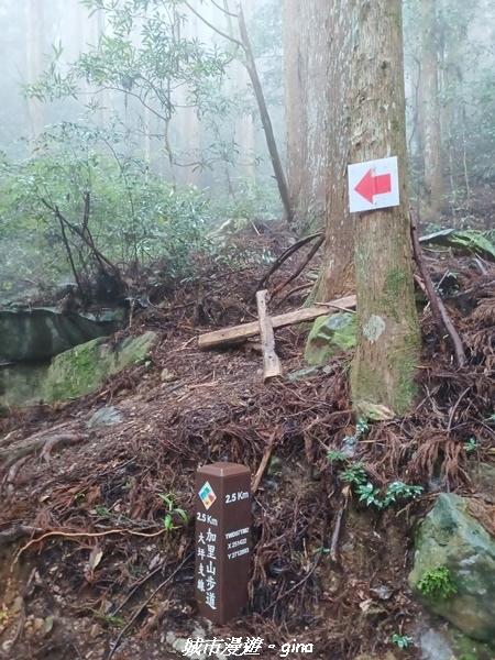 【苗栗南庄】裊裊雲霧台版富士山。 No34小百岳~加里山。 