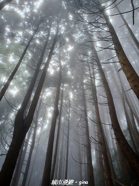 20221010_101824.jpg 20221010_101824.jpg