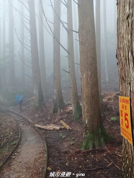 20221010_102816.jpg 20221010_102816.jpg