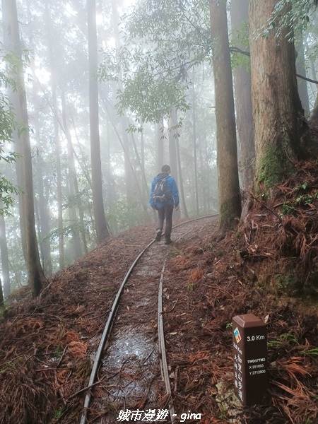 20221010_103155.jpg 20221010_103155.jpg