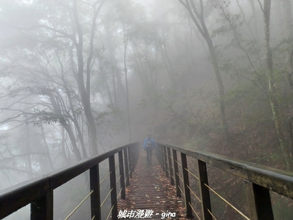 20221010_103735.jpg 20221010_103735.jpg