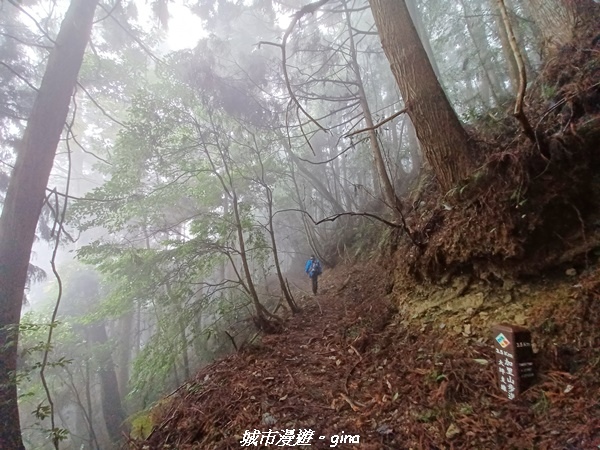 20221010_104131.jpg 20221010_104131.jpg