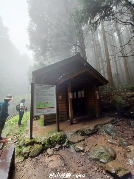 【苗栗南庄】裊裊雲霧台版富士山。 No34小百岳~加里山。 