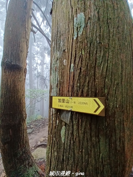 20221010_104707.jpg 20221010_104707.jpg