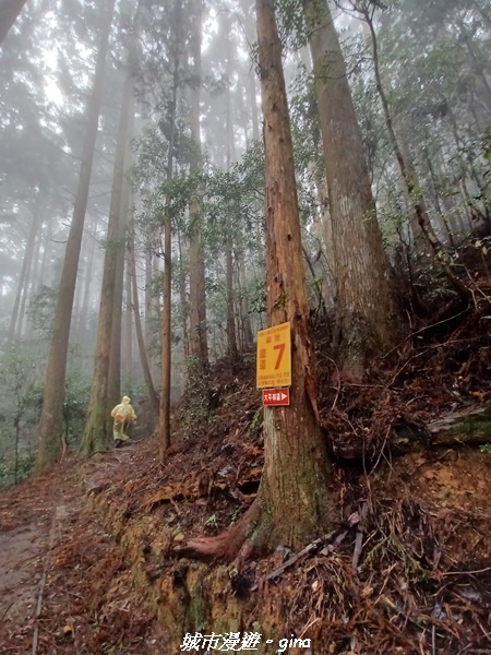 【苗栗南庄】裊裊雲霧台版富士山。 No34小百岳~加里山。 