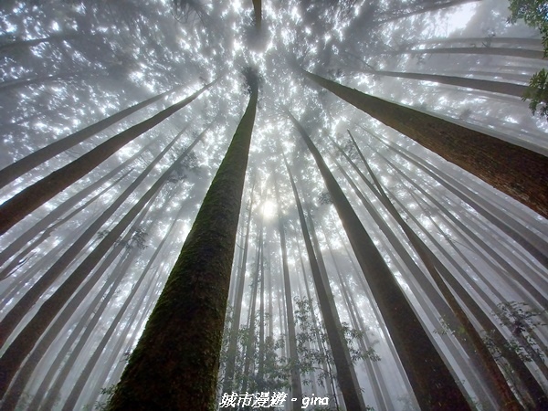 【苗栗南庄】裊裊雲霧台版富士山。 No34小百岳~加里山。 