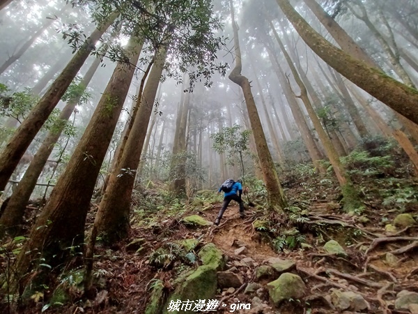 【苗栗南庄】裊裊雲霧台版富士山。 No34小百岳~加里山。 