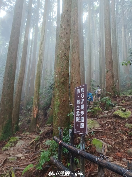 20221010_112220.jpg 20221010_112220.jpg