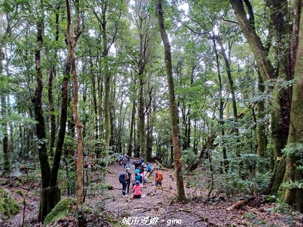 【苗栗南庄】裊裊雲霧台版富士山。 No34小百岳~加里山。 