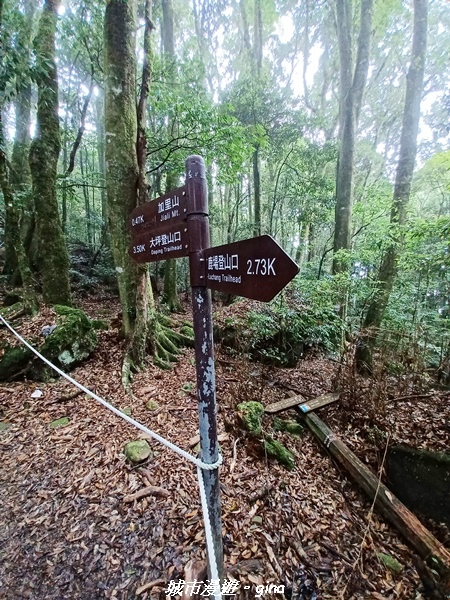 20221010_115046.jpg 20221010_115046.jpg