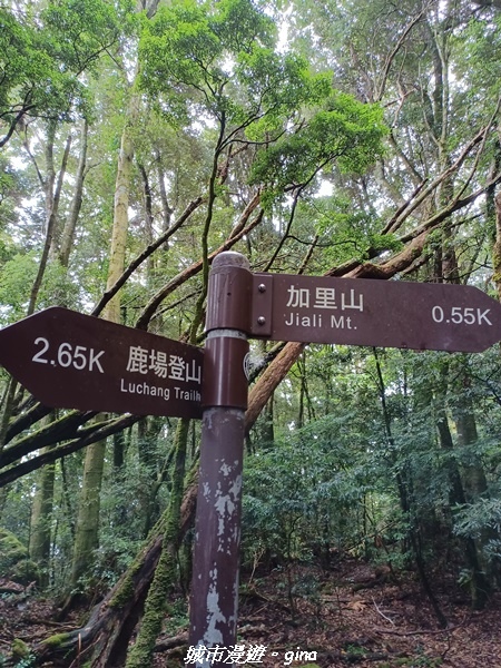 20221010_114803.jpg 20221010_114803.jpg