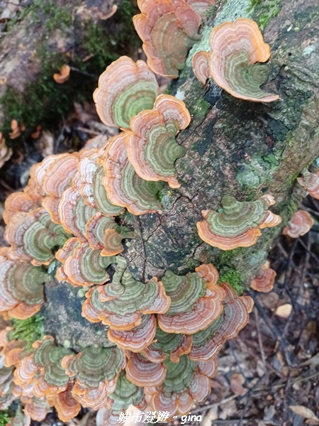 20221010_114836.jpg 20221010_114836.jpg