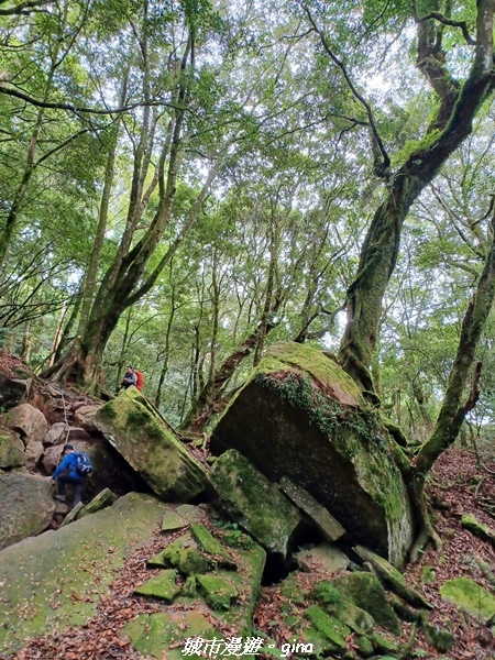 【苗栗南庄】裊裊雲霧台版富士山。 No34小百岳~加里山。 