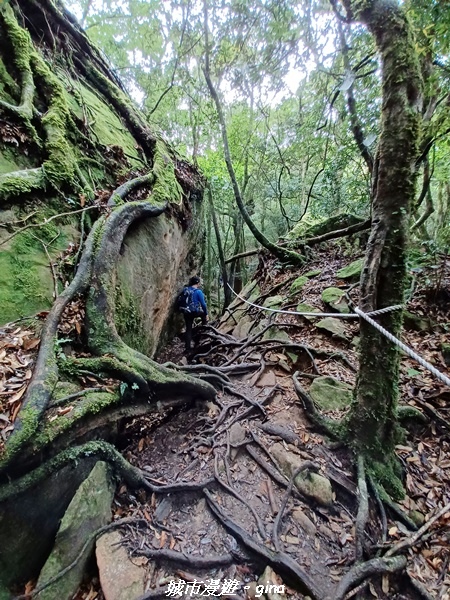 20221010_115139.jpg 20221010_115139.jpg