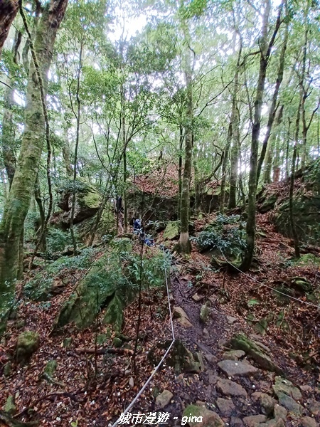 20221010_115252.jpg 20221010_115252.jpg