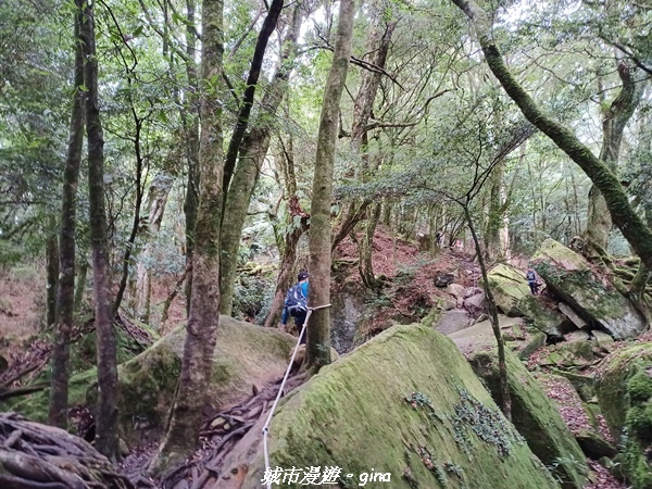 20221010_115305.jpg 20221010_115305.jpg