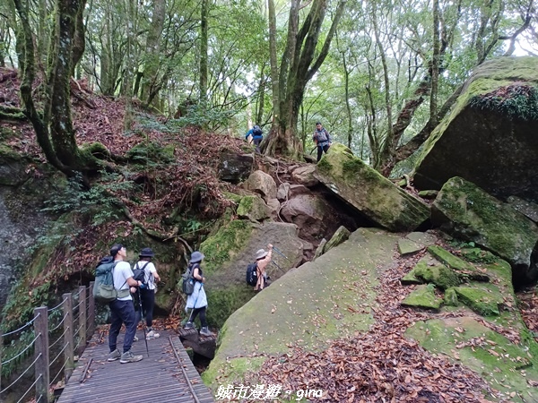 20221010_115408.jpg 20221010_115408.jpg